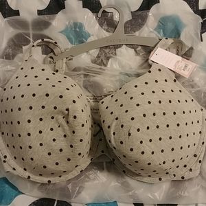 Lane Bryant Cacique Bra (Grey Polkadot) Size 40G